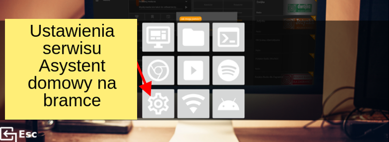 Ustawienia serwisu Asystent domowy